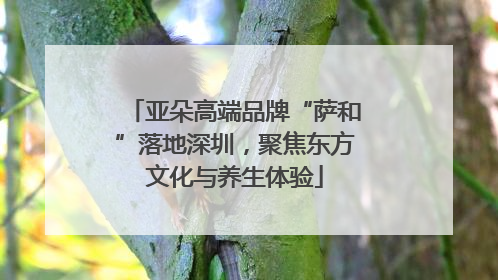 亚朵高端品牌“萨和”落地深圳，聚焦东方文化与养生体验