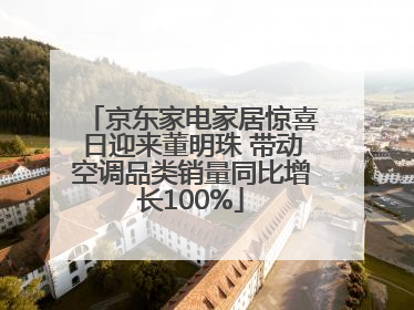 京东家电家居惊喜日迎来董明珠 带动空调品类销量同比增长100%