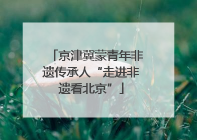 京津冀蒙青年非遗传承人“走进非遗看北京”