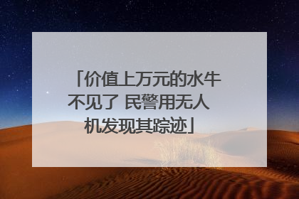 价值上万元的水牛不见了 民警用无人机发现其踪迹