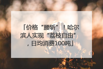 价格“腰斩”！哈尔滨人实现“荔枝自由”，日均消费100吨