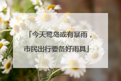 今天鹭岛或有暴雨，市民出行要备好雨具