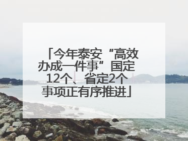 今年泰安“高效办成一件事”国定12个、省定2个事项正有序推进