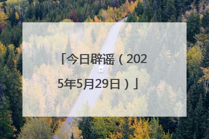 今日辟谣（2025年5月29日）