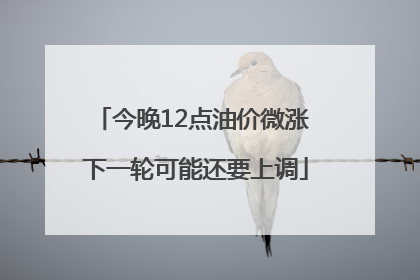今晚12点油价微涨 下一轮可能还要上调