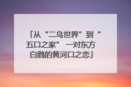从“二鸟世界”到“五口之家” 一对东方白鹳的黄河口之恋