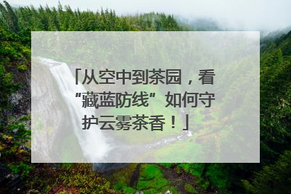 从空中到茶园，看“藏蓝防线”如何守护云雾茶香！