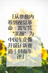 从参数内卷到视觉革命：雷军凭“美颜”为中国车企撕开设计新赛道｜封面车评