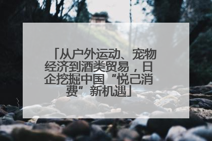 从户外运动、宠物经济到酒类贸易，日企挖掘中国“悦己消费”新机遇