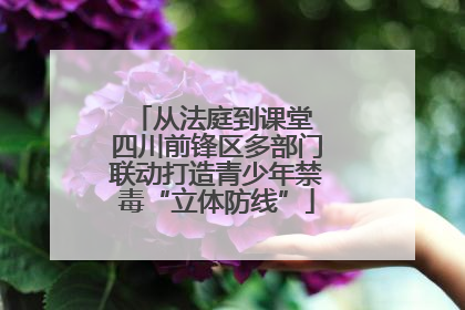 从法庭到课堂 四川前锋区多部门联动打造青少年禁毒“立体防线”