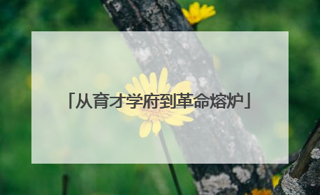 从育才学府到革命熔炉