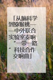 从脑科学到猕猴桃——中外联合实验室奏响“一带一路”科技合作交响曲