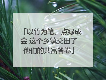 以竹为笔、点绿成金 这个乡镇交出了他们的共富答卷