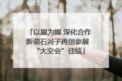 以展为媒 深化合作 新疆石河子再创参展“大交会”佳绩