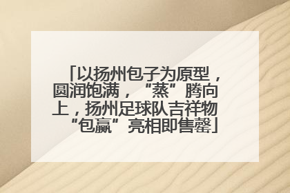 以扬州包子为原型，圆润饱满，“蒸”腾向上，扬州足球队吉祥物“包赢”亮相即售罄