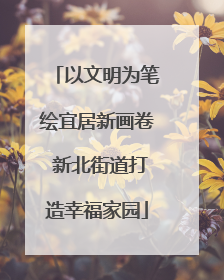 以文明为笔绘宜居新画卷 新北街道打造幸福家园