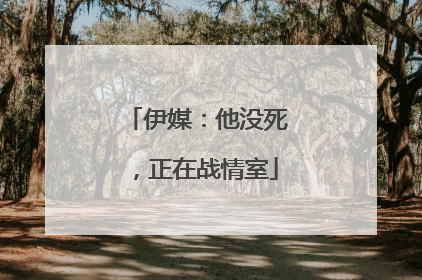 伊媒：他没死，正在战情室