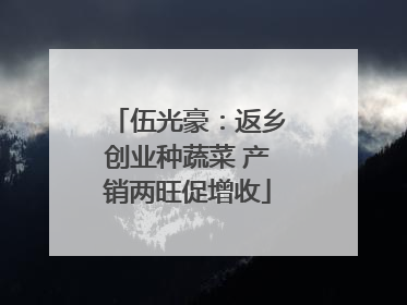 伍光豪：返乡创业种蔬菜 产销两旺促增收