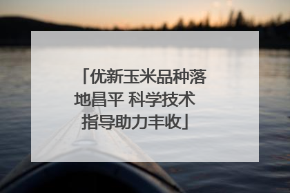 优新玉米品种落地昌平 科学技术指导助力丰收