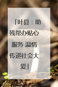 叶县：助残帮办贴心服务 温情传递社会大爱