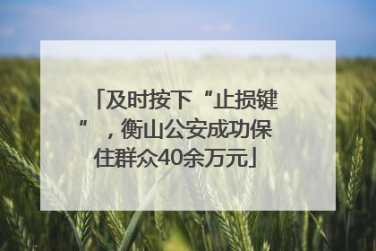及时按下“止损键”，衡山公安成功保住群众40余万元