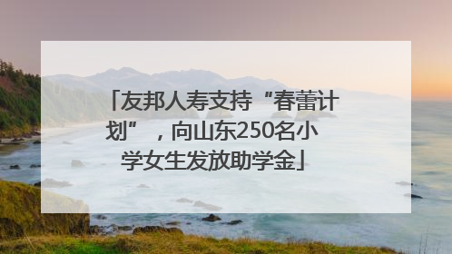 友邦人寿支持“春蕾计划”，向山东250名小学女生发放助学金