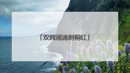 双拥潮涌刺桐红