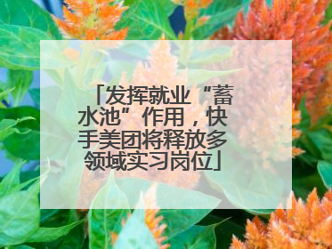 发挥就业“蓄水池”作用，快手美团将释放多领域实习岗位