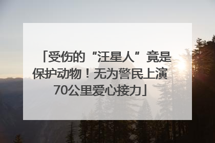 受伤的“汪星人”竟是保护动物！无为警民上演70公里爱心接力