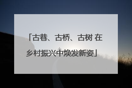 古巷、古桥、古树 在乡村振兴中焕发新姿