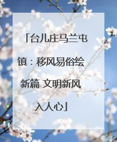 台儿庄马兰屯镇：移风易俗绘新篇 文明新风入人心