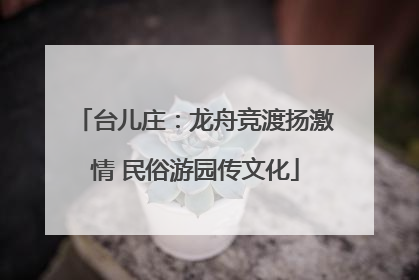 台儿庄：龙舟竞渡扬激情 民俗游园传文化
