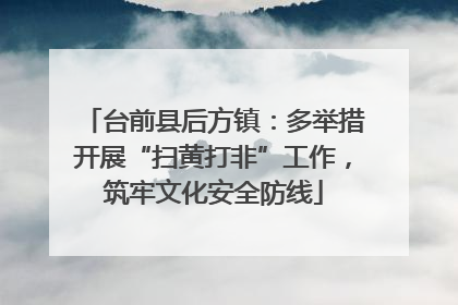 台前县后方镇：多举措开展“扫黄打非”工作，筑牢文化安全防线