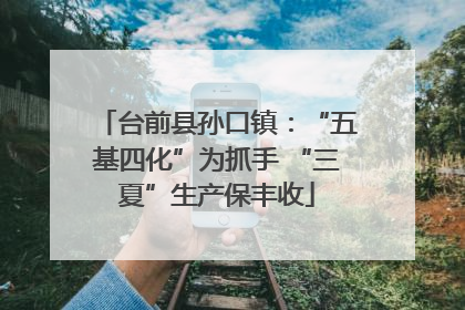 台前县孙口镇：“五基四化”为抓手 “三夏”生产保丰收