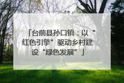 台前县孙口镇：以“红色引擎”驱动乡村建设“绿色发展”