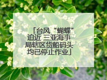 台风“蝴蝶”迫近 三亚海事局辖区货船码头均已停止作业