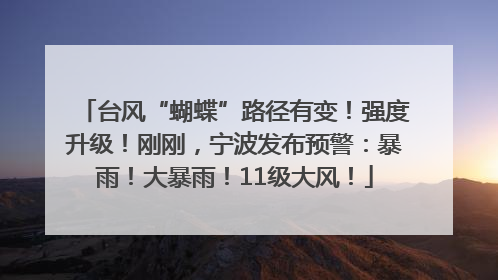 台风“蝴蝶”路径有变！强度升级！刚刚，宁波发布预警：暴雨！大暴雨！11级大风！
