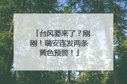 台风要来了？刚刚！瑞安连发两条黄色预警！