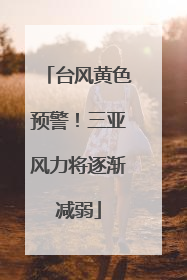 台风黄色预警！三亚风力将逐渐减弱