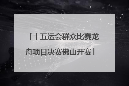 十五运会群众比赛龙舟项目决赛佛山开赛