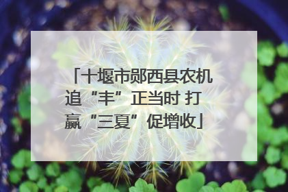 十堰市郧西县农机追“丰”正当时 打赢“三夏”促增收