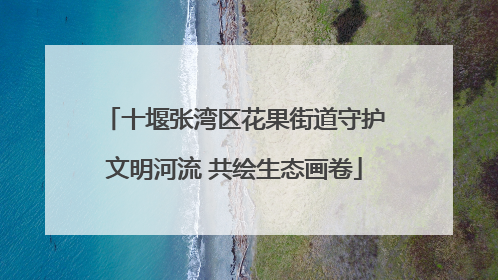 十堰张湾区花果街道守护文明河流 共绘生态画卷