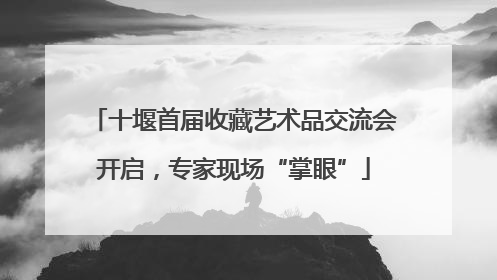 十堰首届收藏艺术品交流会开启，专家现场“掌眼”