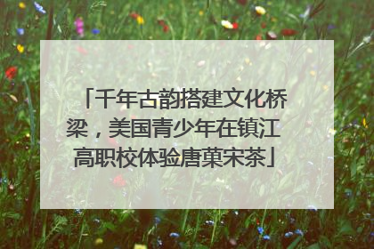千年古韵搭建文化桥梁，美国青少年在镇江高职校体验唐菓宋茶