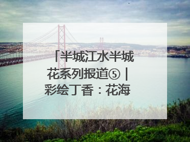 半城江水半城花系列报道⑤｜彩绘丁香：花海映照一座城