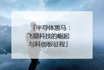 半导体黑马：飞骧科技的崛起与科创板征程