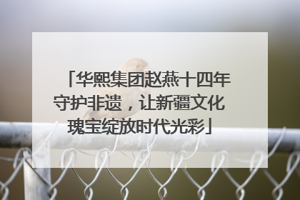 华熙集团赵燕十四年守护非遗，让新疆文化瑰宝绽放时代光彩