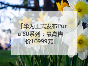 华为正式发布Pura 80系列：最高售价10999元