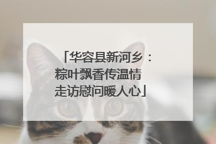 华容县新河乡：粽叶飘香传温情 走访慰问暖人心
