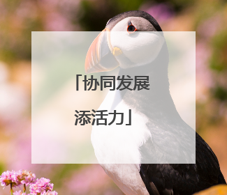 协同发展添活力